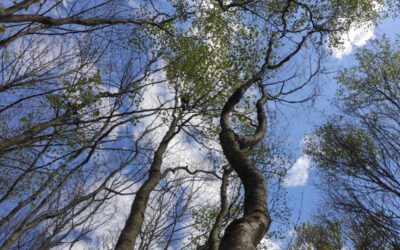 Leben im „Unperfekt“ mit Dankbarkeit